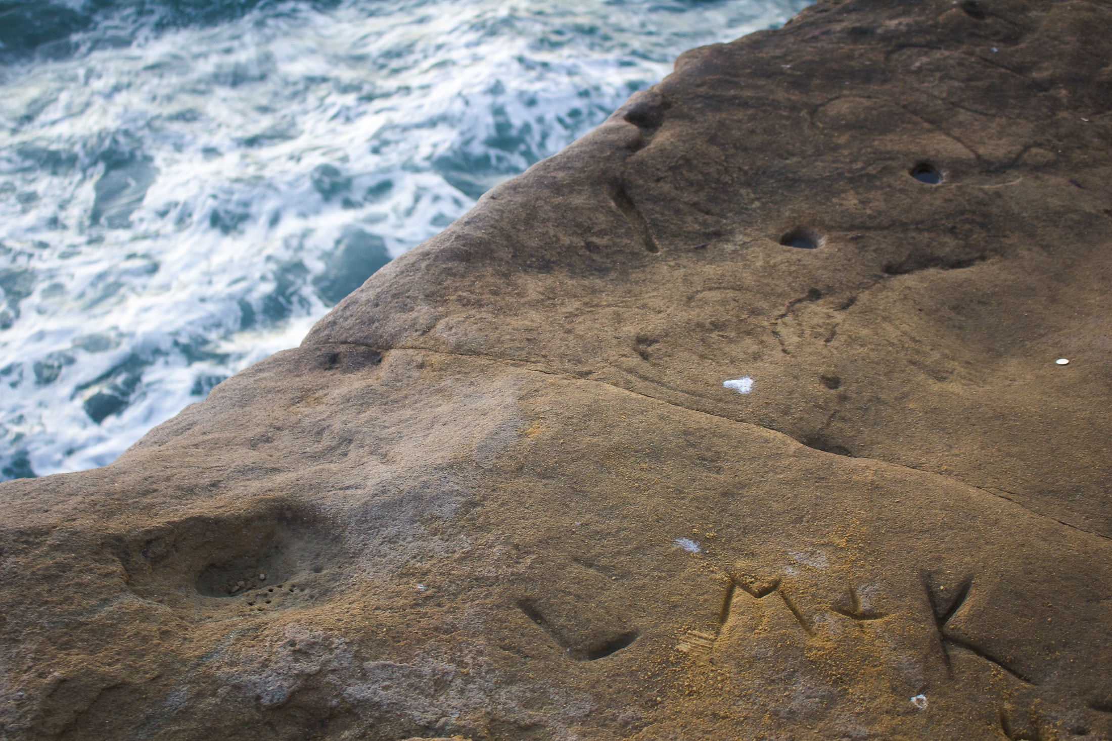 san diego beaches