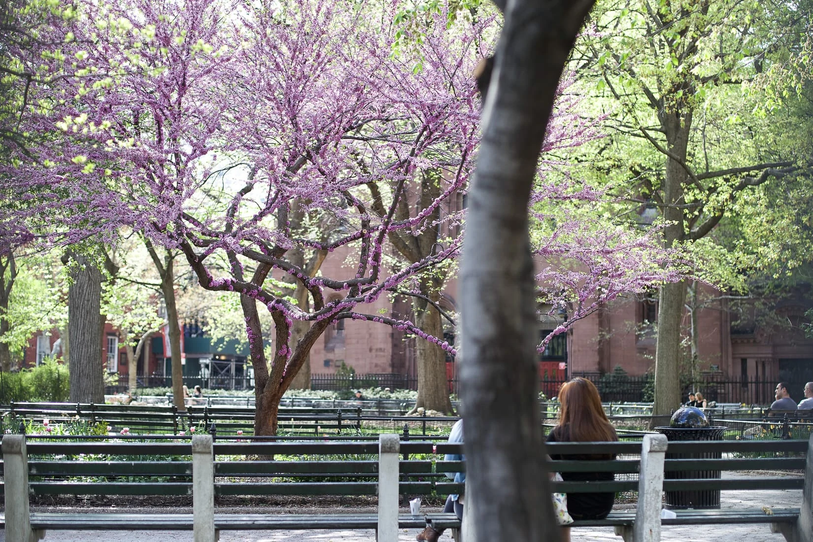 parks in new york city