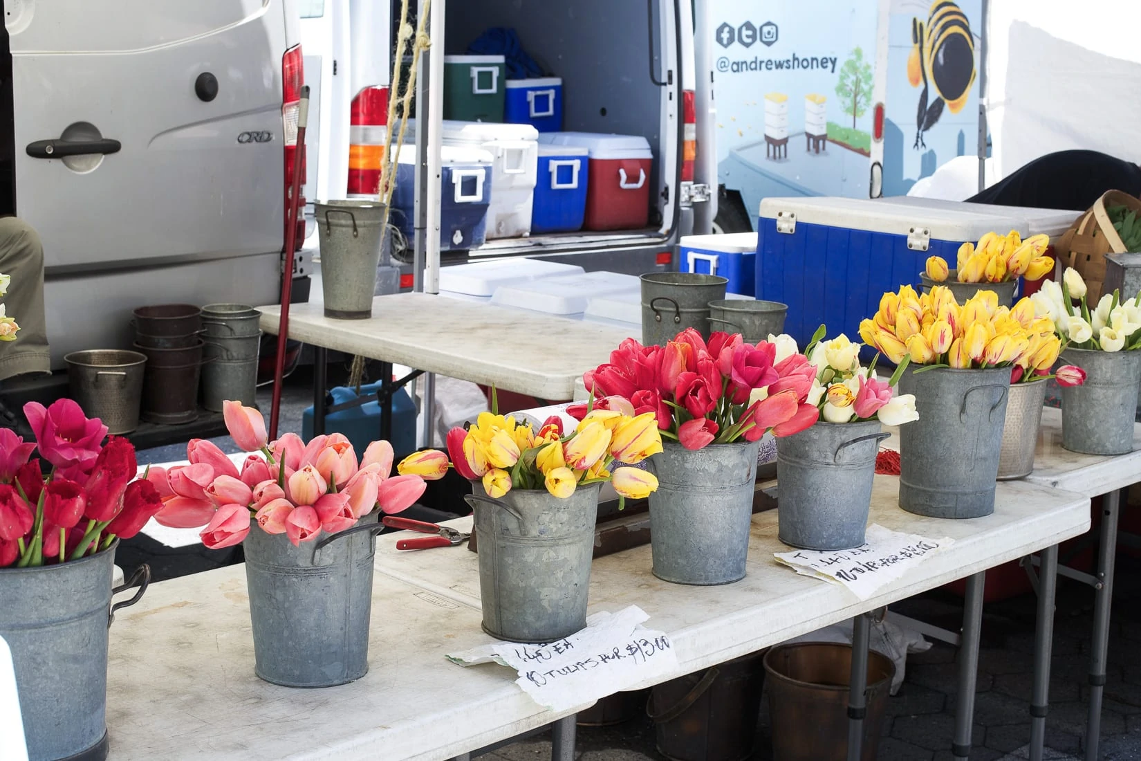 tulips farmers market
