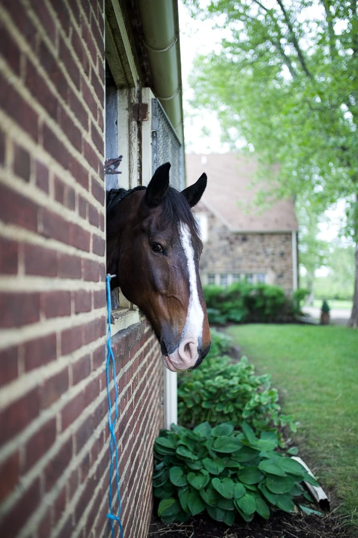 radnor hunt barn