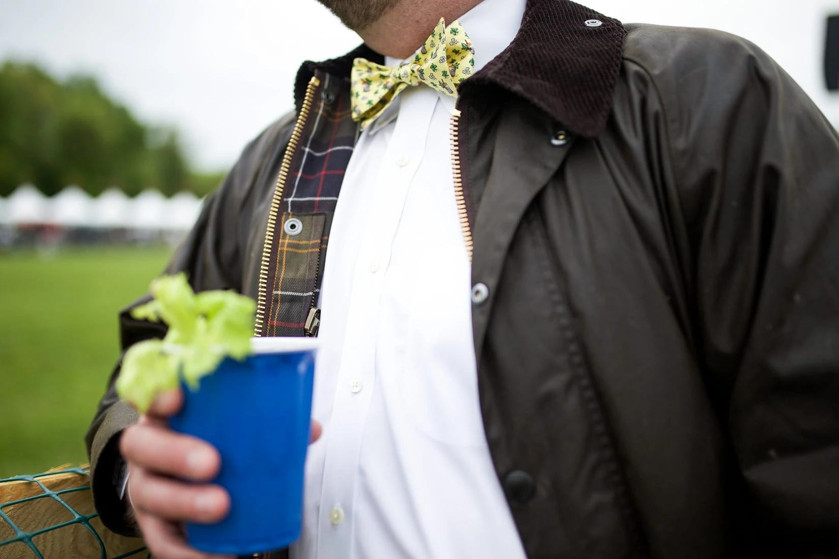 vineyard vines bow tie