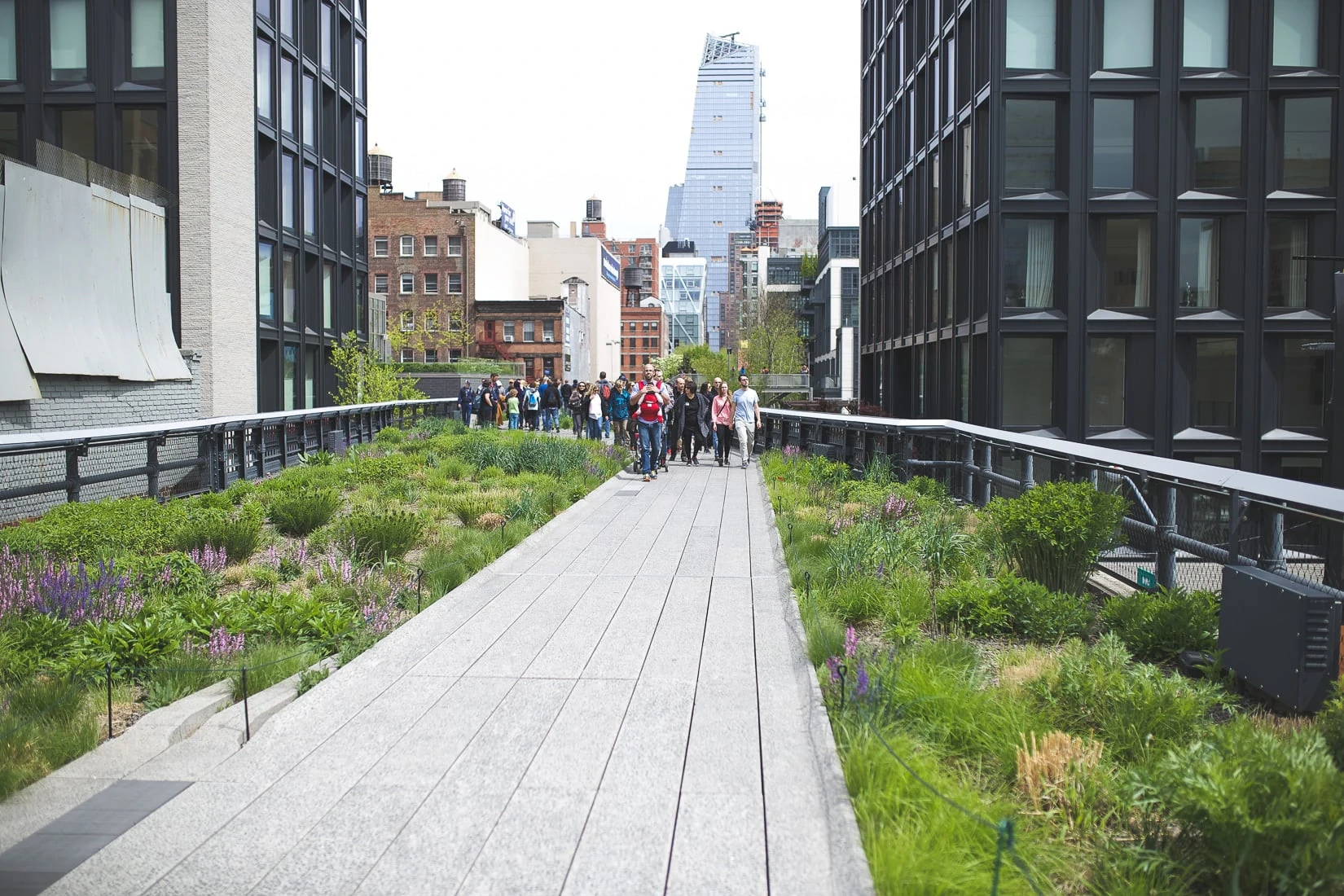 NYC Highline