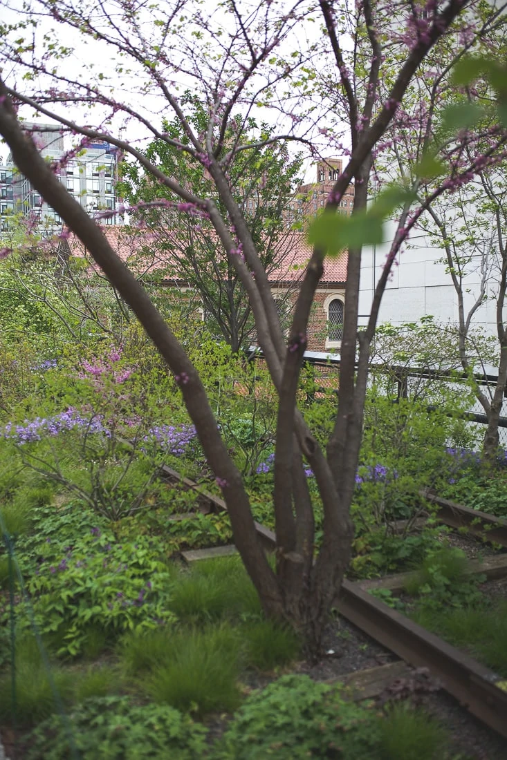 Highline NYC