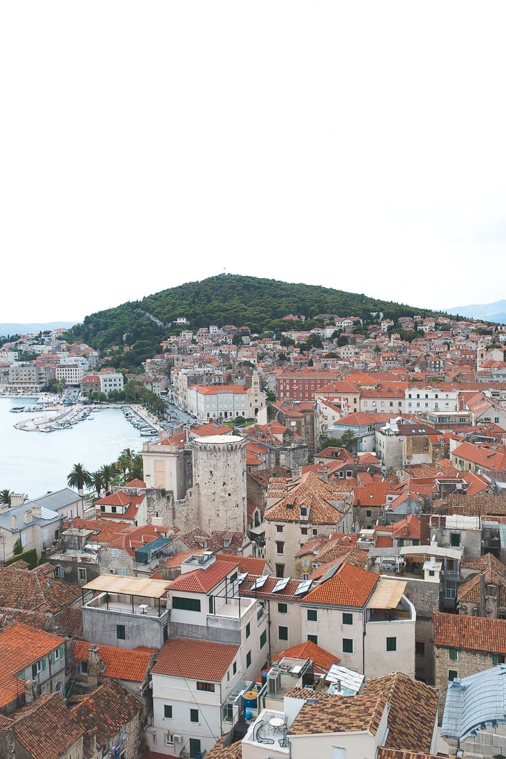 Dalmatian Coast