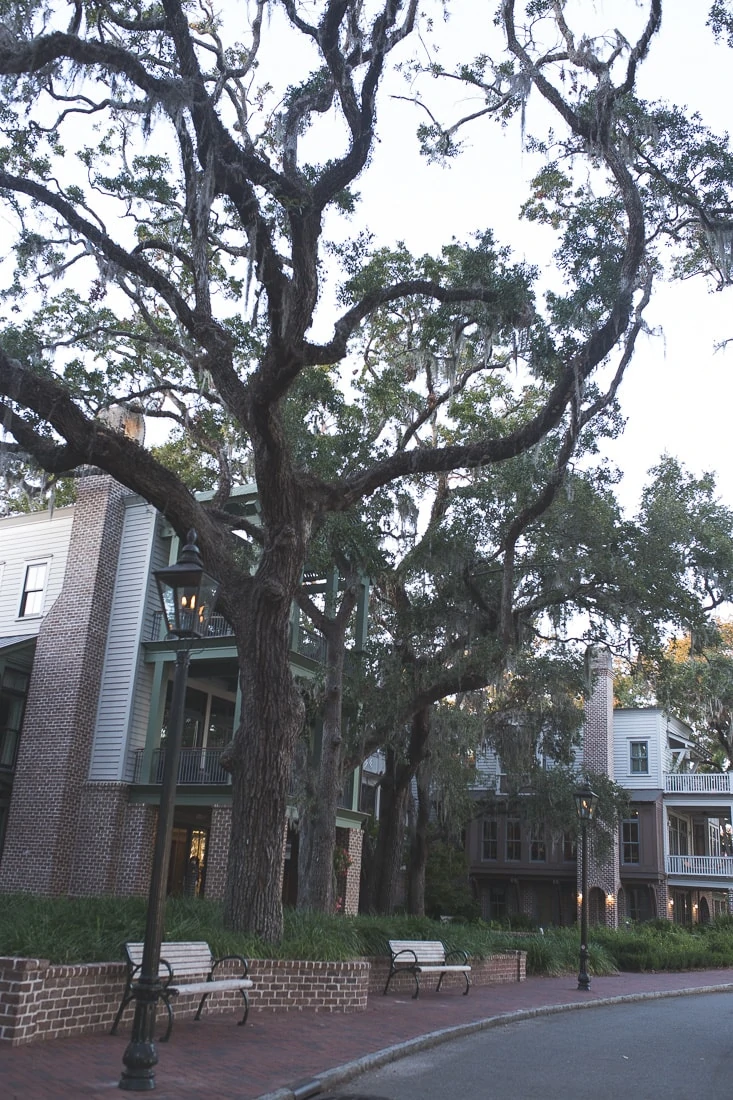 Palmetto Bluff