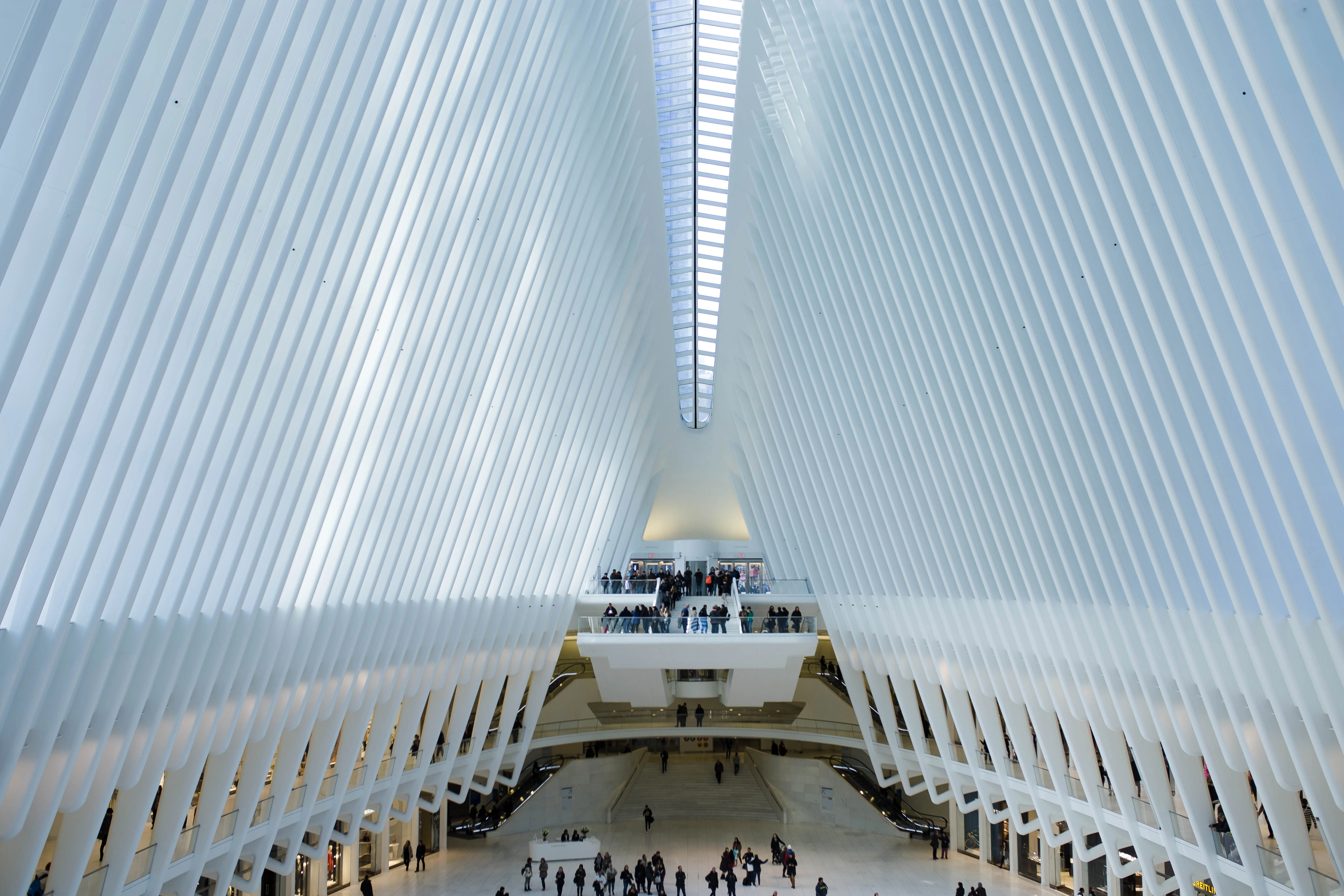 oculus nyc