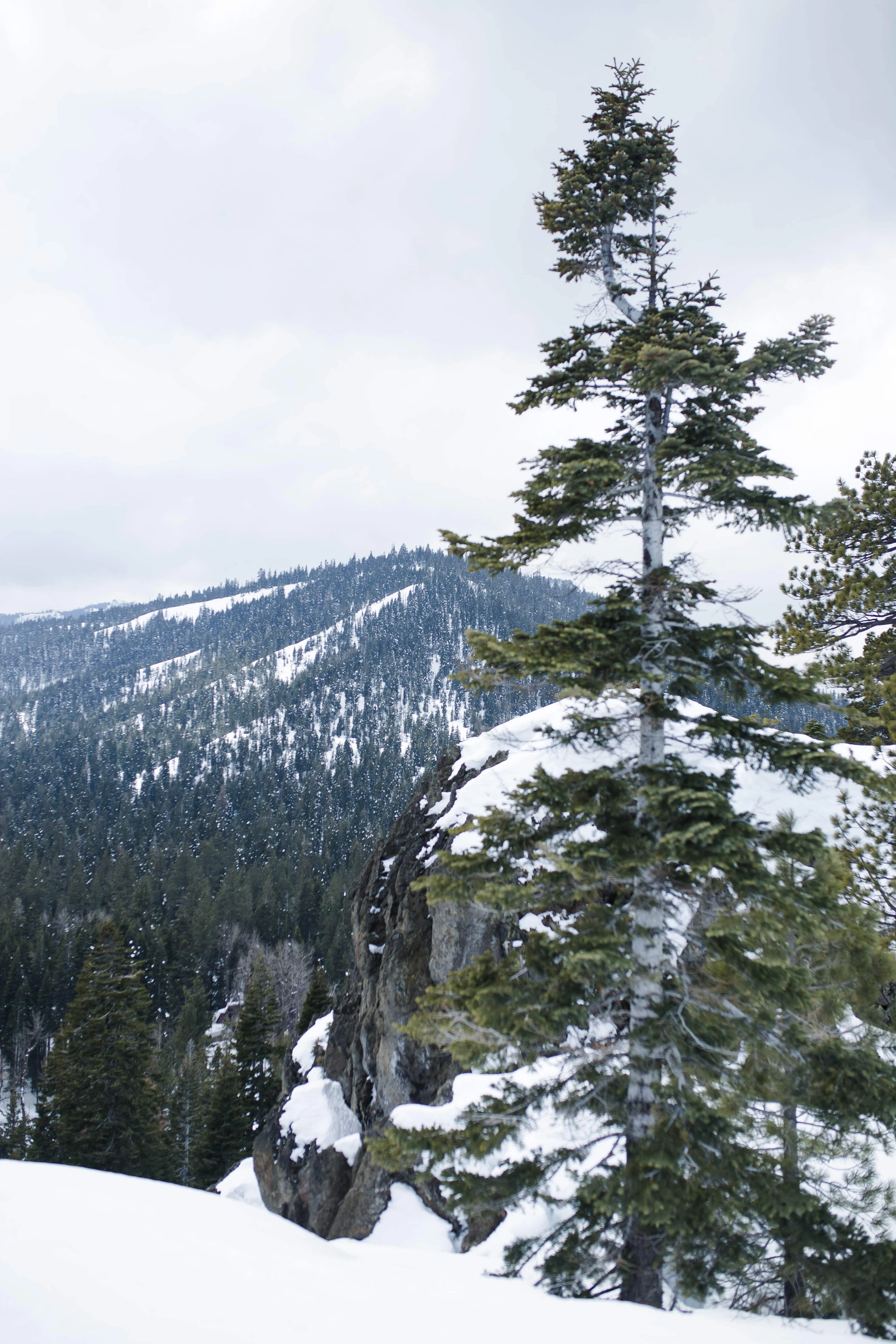 West Coast Winter