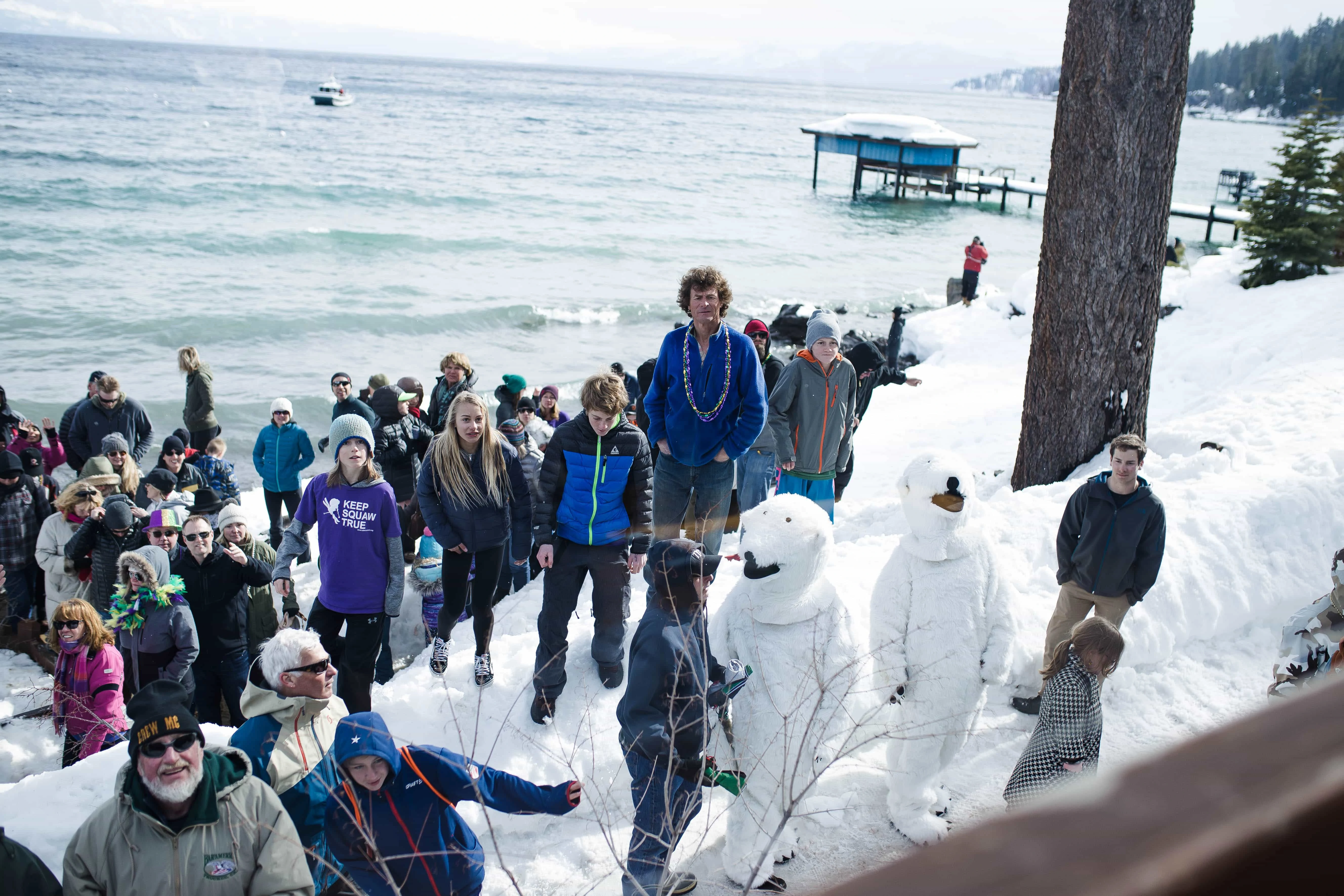 Polar Bear Plunge