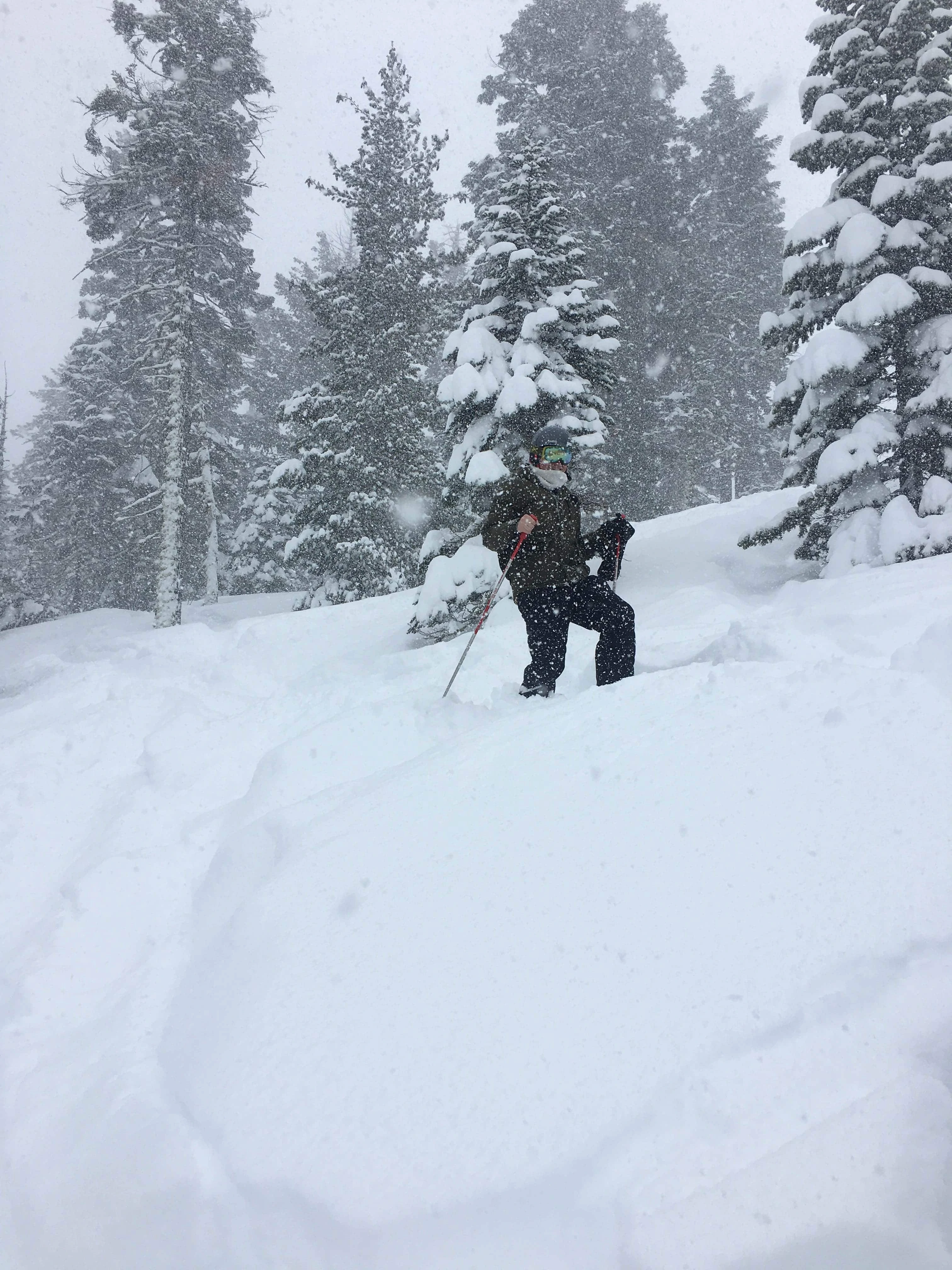 Squaw Mountain Pow