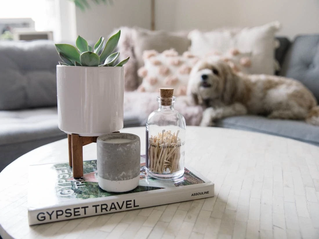 Skeem Design Apothecary Match Jar