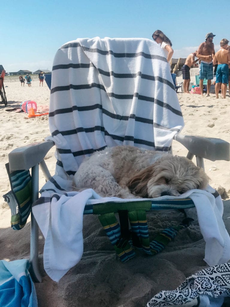 KISMET, FIRE ISLAND Styled Snapshots